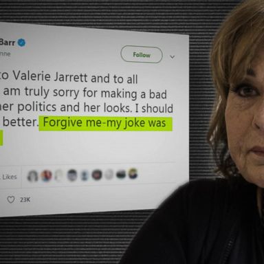 VIDEO: 'Roseanne' canceled after Roseanne Barr's racist tweet