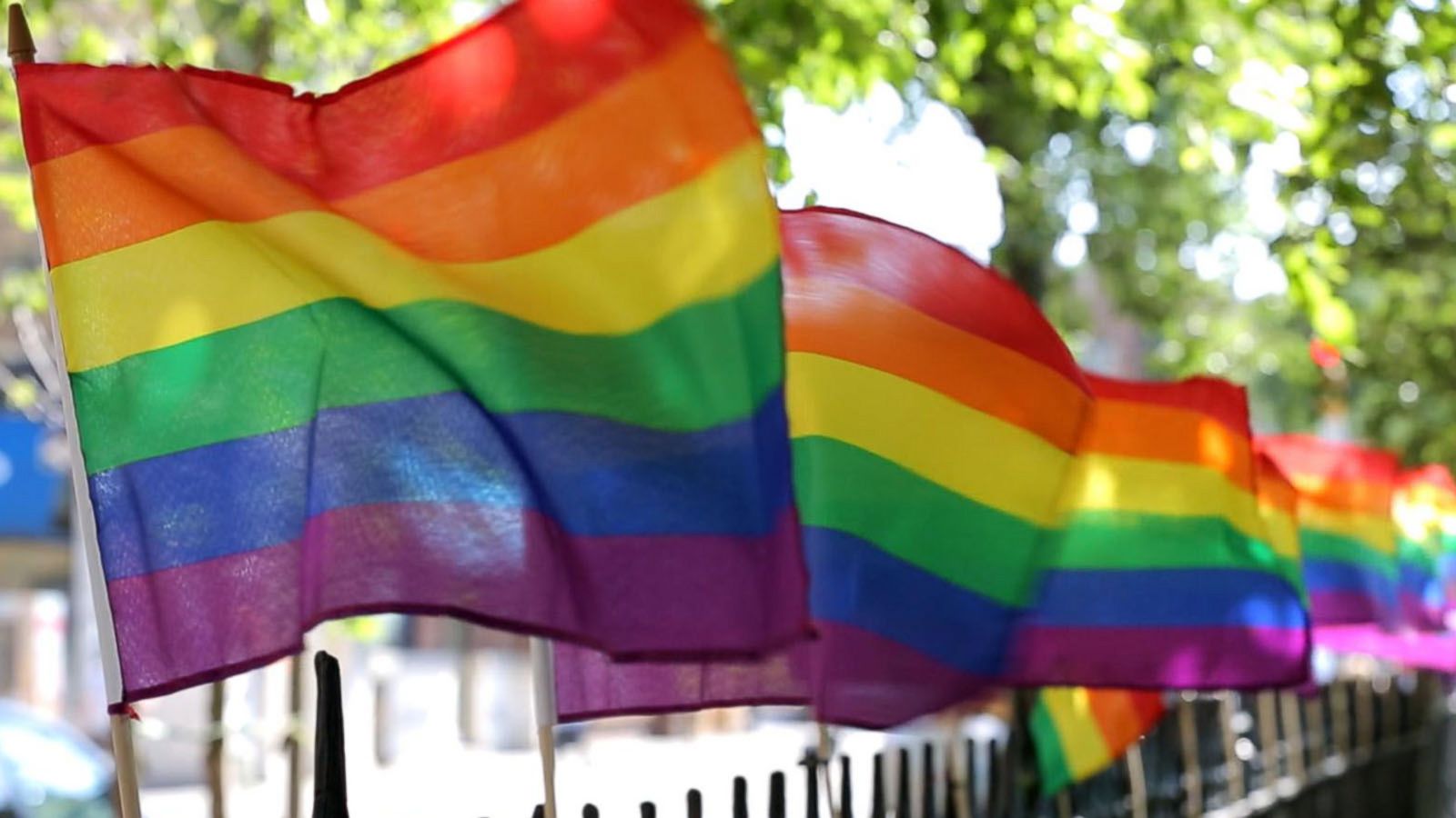 Learn the history of gay pride's rainbow flag - Good Morning America