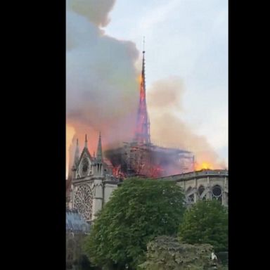 VIDEO: French President reacts to Notre Dame cathedral fire: 'We will rebuild it'