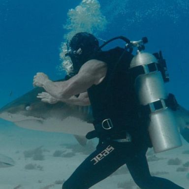 VIDEO: Testing a 'shark suit' that lets divers get up close without case