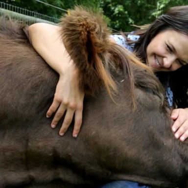 VIDEO: Cow cuddling and beyond: the growing use of emotional support animals