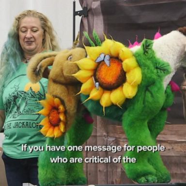 VIDEO: Creative dog groomer defends art: ‘It boosts the confidence of a dog’