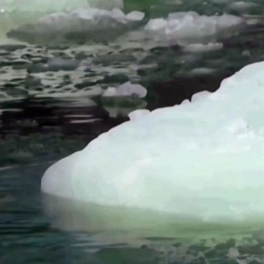 VIDEO: Greenland's rapid ice melt could mean more flooding, climate experts say