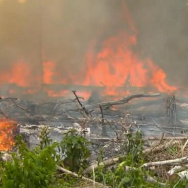 VIDEO: Amazon rainforest fires are now likely a net contributor to Earth's warming