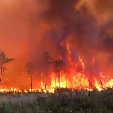 VIDEO: Wildfires and record temperatures ravage Europe, extreme heat takes toll on U.S. 