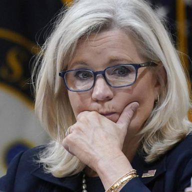 VIDEO: Liz Cheney faces her political fate against Trump backed foe