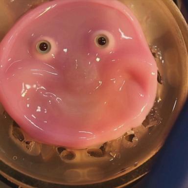 VIDEO: Japanese scientists make a robot face with living skin that can smile