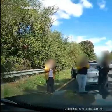 VIDEO: Dashcam captures dangerous alleged car insurance scam