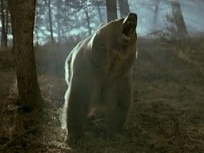 Deception in Animal Documentaries