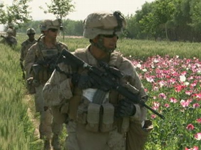 Memorial Day Salute