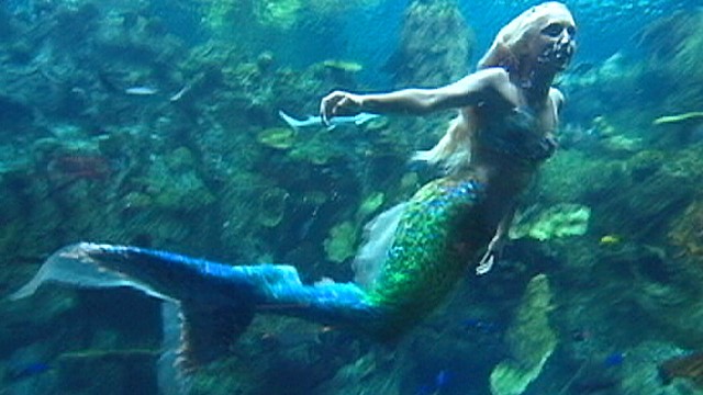 Real-Life Mermaid Swims at Atlantis Video - ABC News
