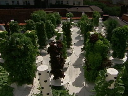 Rooftop Garden Deluxe