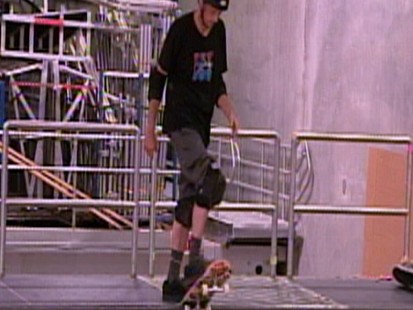 Tony Hawk