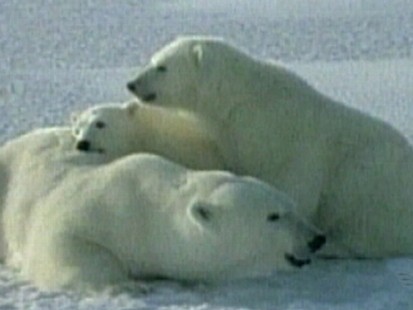 Climate Clash