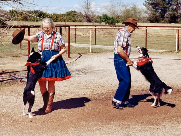 dog dancing to grease