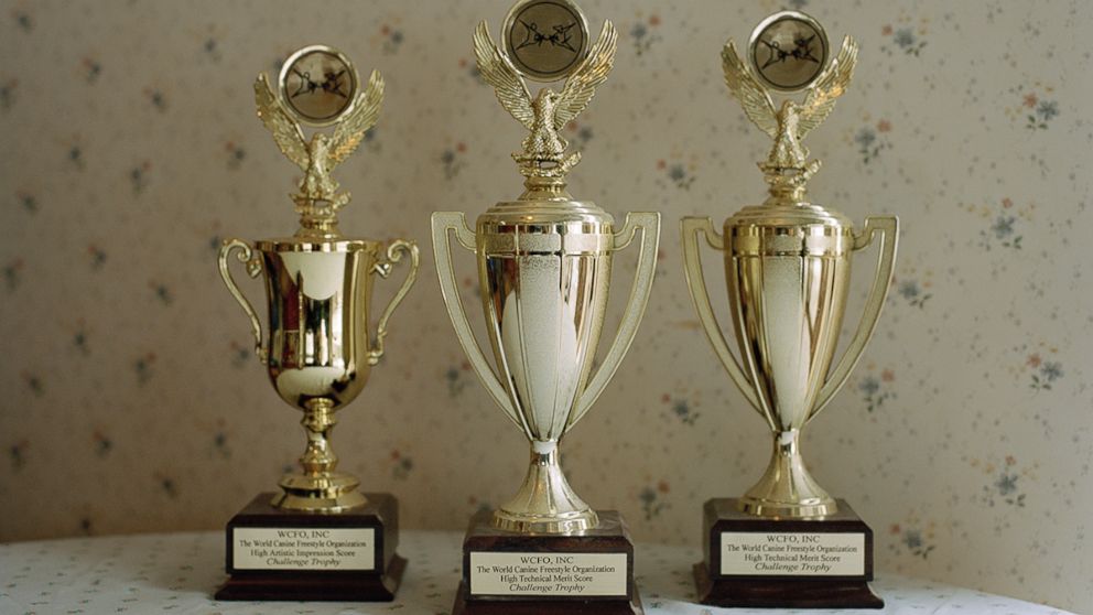 PHOTO:Trophies from The World Canine Freestyle Organization on display inside a home.  