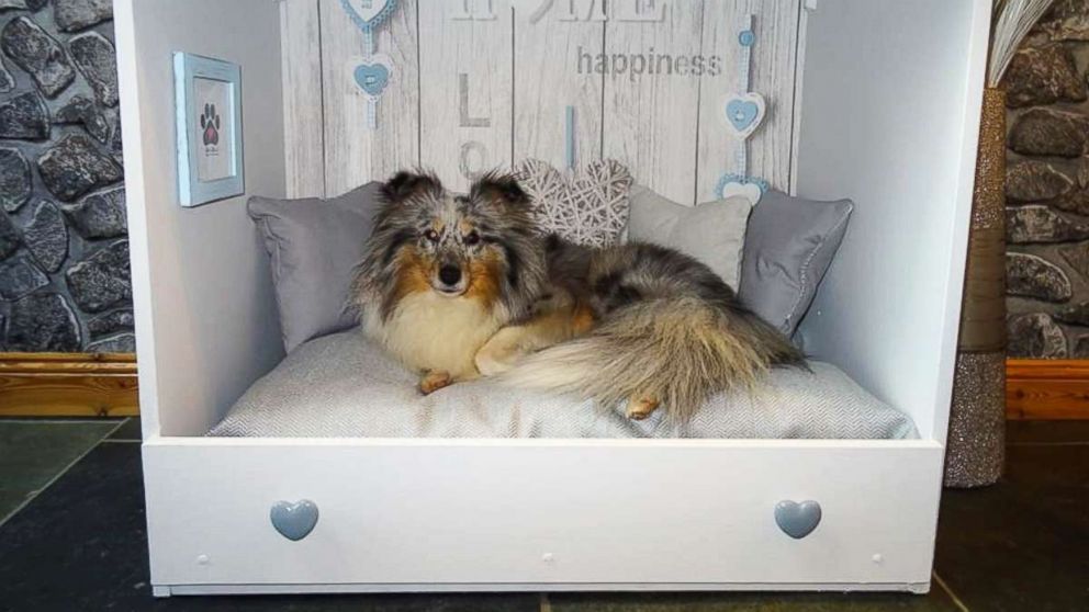 Dog beds made out of store old furniture