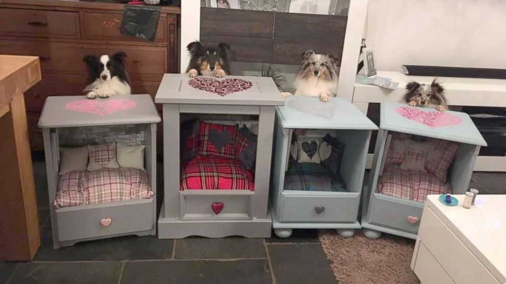 Woman Turns Old Dressers Into Cozy Personalized Dog Beds Abc News
