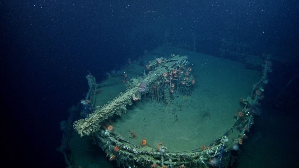 PHOTO: An anemone-covered gun on the remains of the SS Robert E. Lee is seen in this image made from the "A Tale of Two Wrecks: U-166 and SS Robert E. Lee" video.