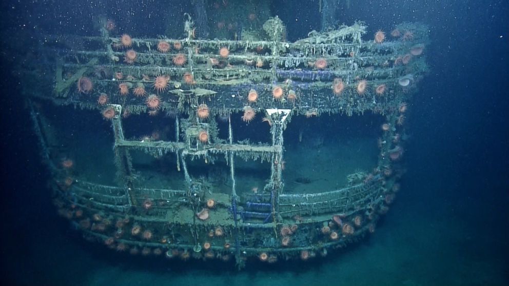 PHOTO: Anemones grow on the remains of the SS Robert E. Lee in this image made from the "A Tale of Two Wrecks: U-166 and SS Robert E. Lee" video. 