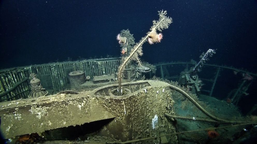 PHOTO: This image made from the "A Tale of Two Wrecks: U-166 and SS Robert E. Lee" video shows ocean life growing on top of the remains of the U-166 U-boat.