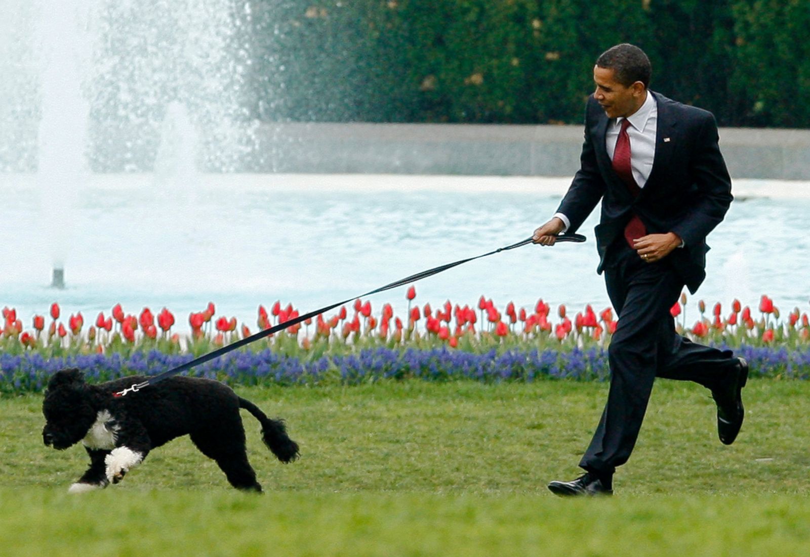 Presidential Pets: Paws In The White House - ABC News