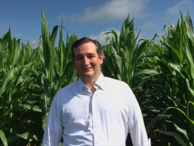 VIDEO: That Time Presidential Candidate Ted Cruz Visited The Field Of Dreams