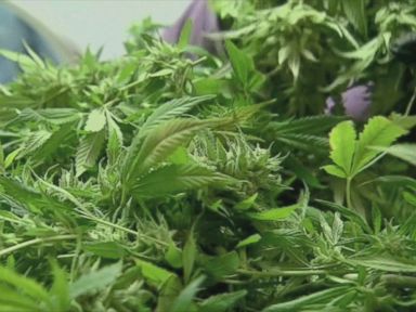 VIDEO: A measure to legalize marijuana in Ohio was defeated while sites like Airbnb saw a victory in San Francisco.