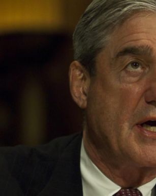 As special counsel, Mueller can be expected to have the full powers and independent authority to exercise all investigative and prosecutorial functions of any United States attorney.