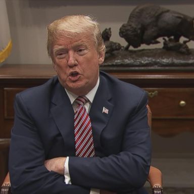 President Trump reiterated his desire to reopen mental institutions as part of the solution to preventing mass shootings, saying there was no place to take a "sicko" like the Parkland shooter.
