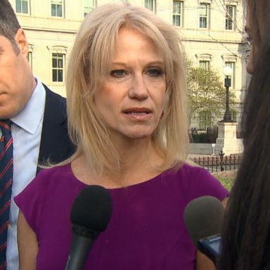 VIDEO: Kellyanne Conway said that the former FBI director "seems like a disgruntled ex-employee."