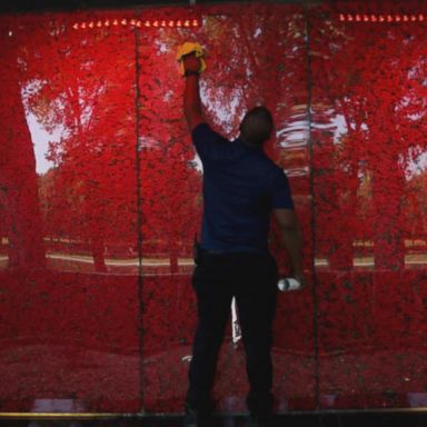 A pop-up installation of 645,000 red flowers, encased in a translucent structure, were installed Thursday night and is adorning the southwestern side of the Lincoln Memorial Reflecting Pool.