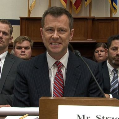 President Trump has accused Strzok of committing "treason."