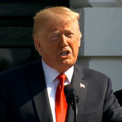 Trump denies knowing about Trump Tower meeting