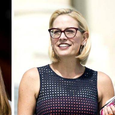 Republican Martha McSally and Democrat Kyrsten Sinema are competing to fill Republican Jeff Flake's Senate seat.