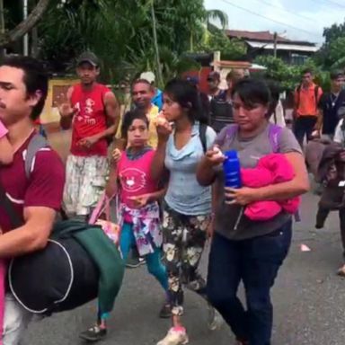 VIDEO: The Briefing Room: Migrant caravan reaches Mexico border, Trump praises congressman for body-slam