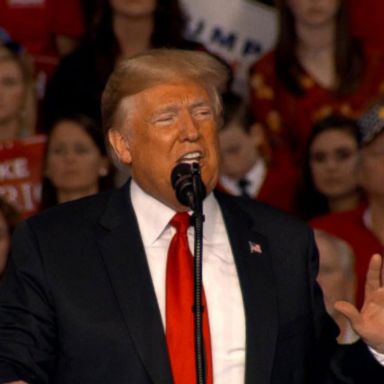 VIDEO: Trump's effect on the midterm elections 