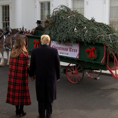 President Trump and first lady Melania Trump welcomed the nearly 20-foot Fraser Fir from North Carolina.