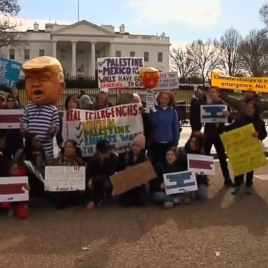 Protesters gathered in cities around the country to decry President Donald Trump's declaration of a national emergency to fund his planned border wall.