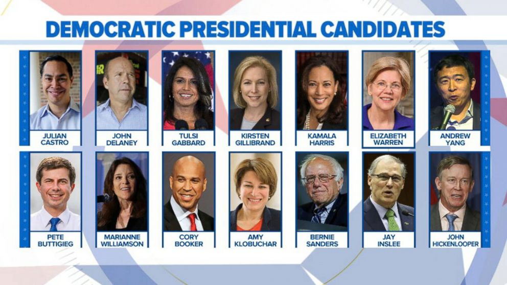 Image result for 2020 DNC candidates for president