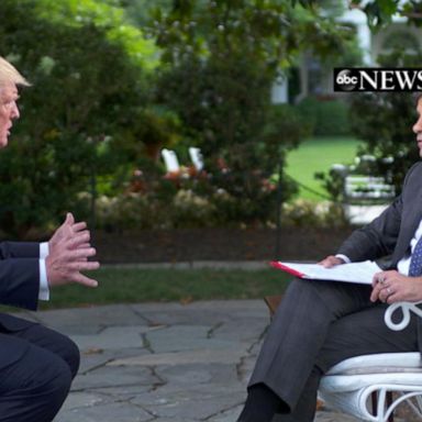 VIDEO: Trump: It 'doesn't matter' what McGahn told Mueller