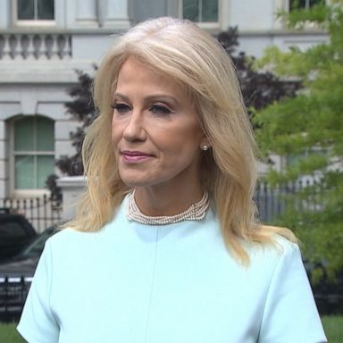 PHOTO: A federal watchdog agency has recommended that White House senior adviser Kellyanne Conway be removed from service for making political statements.