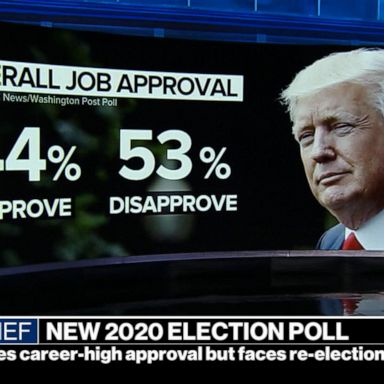 VIDEO: Trump's approval rating highest since beginning of presidency