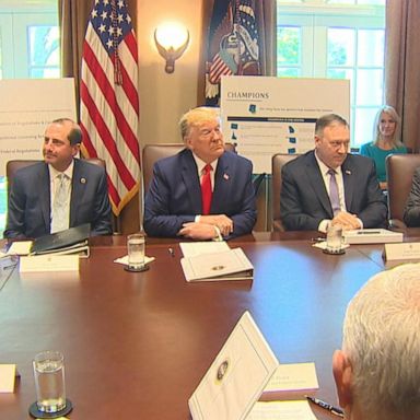 VIDEO: Trump holds cabinet meeting at the White House