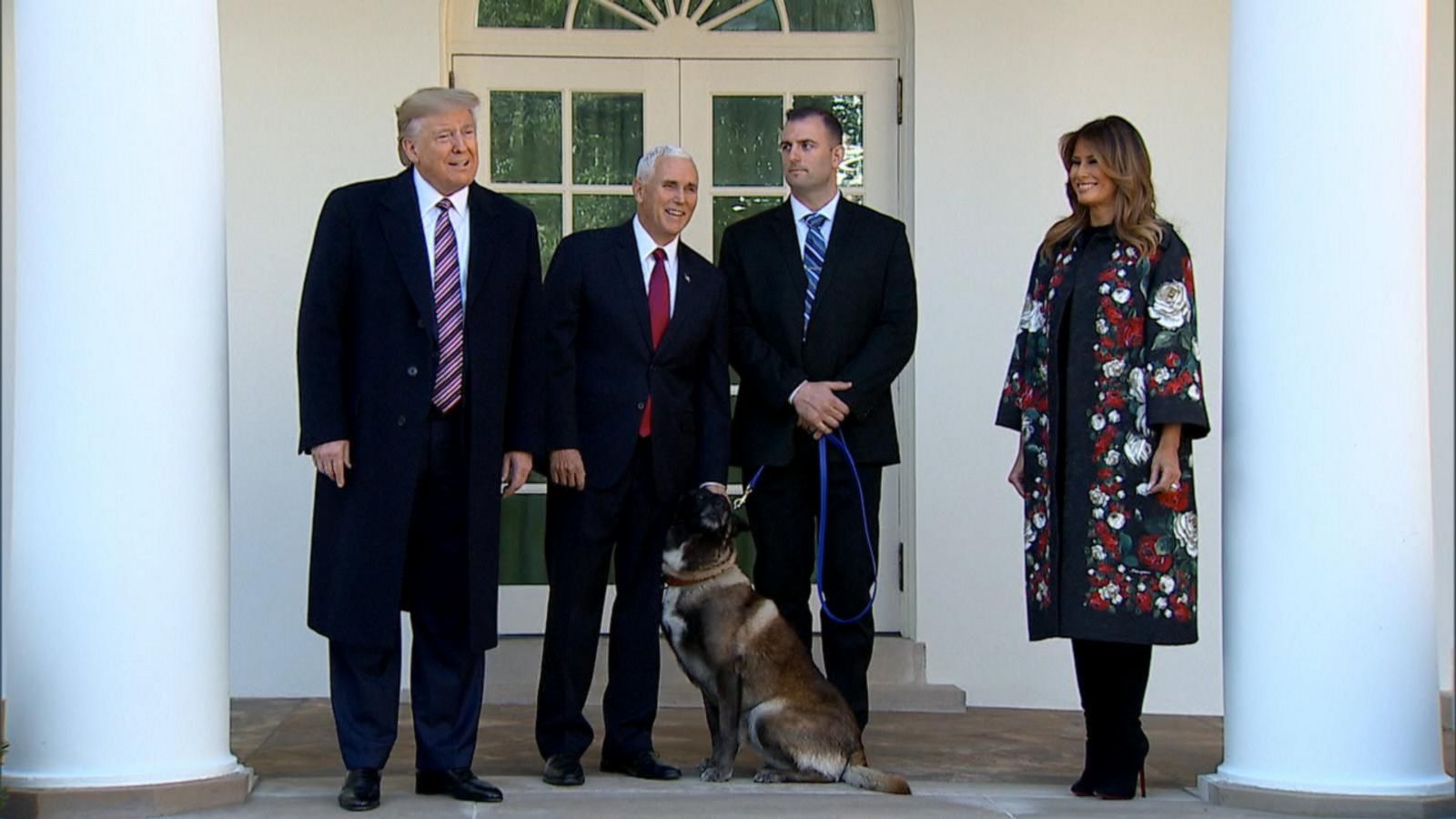 Hero dog from al-Baghdadi raid visits the White House - Good Morning ...