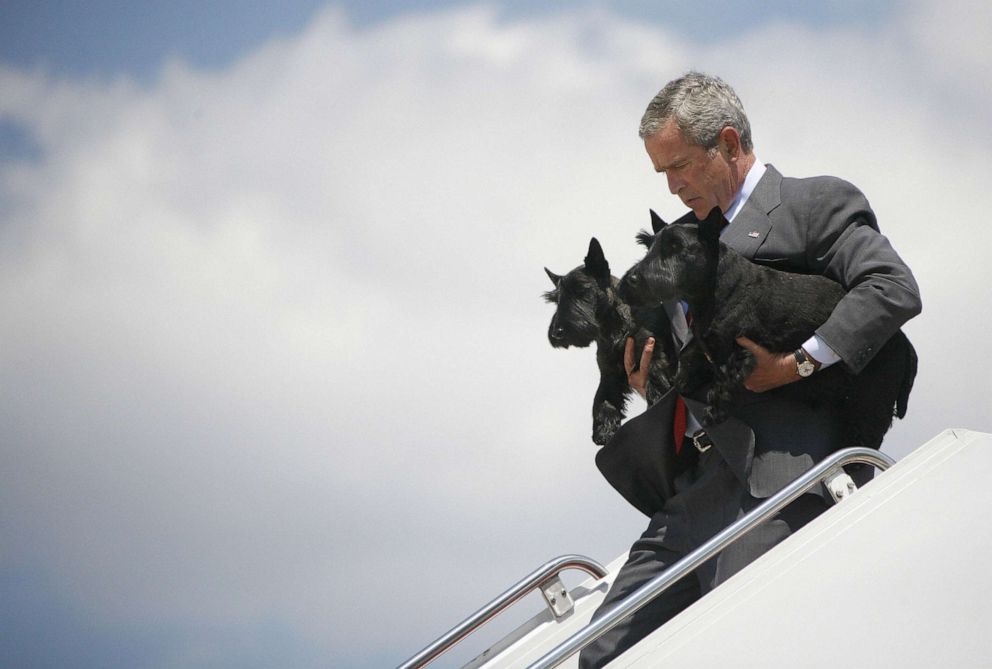 PHOTO: President George W. Bush walks off Air Force One carrying the family pets Barney, right, and Ms. Beazley as he arrives at Andrews Air Force Base, Md., Aug. 13, 2006.