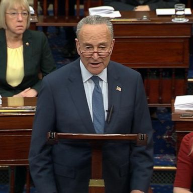 Minority Leader Chuck Schumer called Majority Leader Mitch McConnell's rules "completely partisan" and "designed by President Trump and for President Trump." 