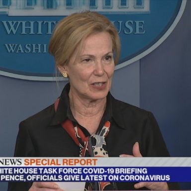 Dr. Deborah Birx, the coordinator of the White House coronavirus task force, said there's no reality that shows 60 or 70% of Americans will be infected by coronavirus.