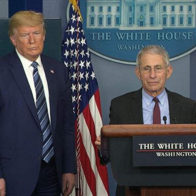 VIDEO: Tracking Trump and Fauci’s tense relationship