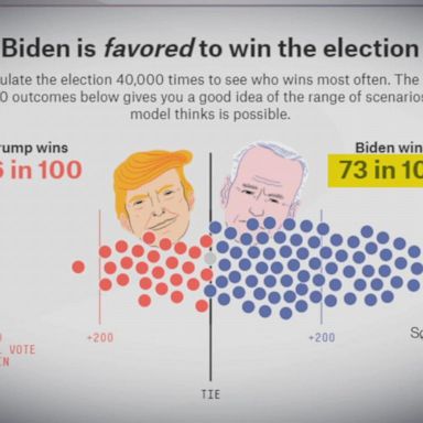 VIDEO: Analyzing a Democratic sweep in November 